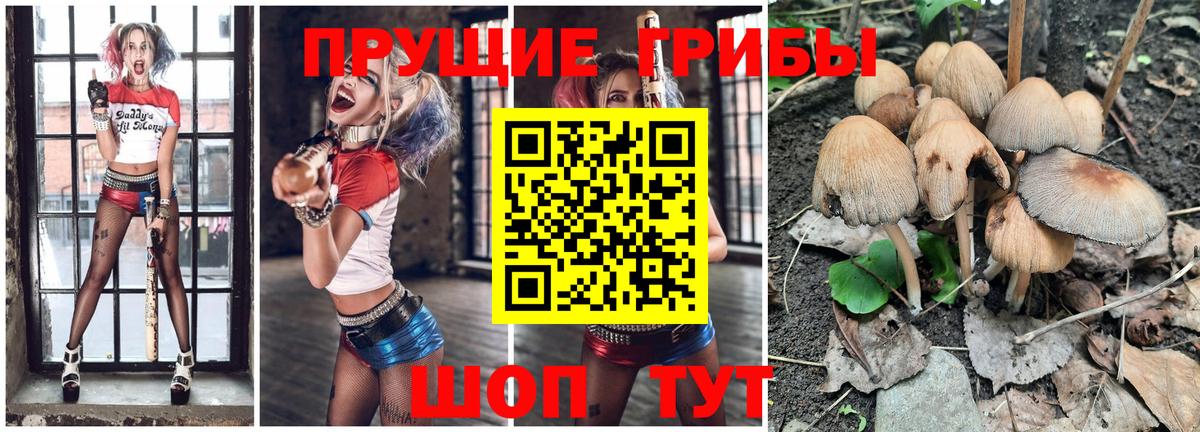 Галлюциногенные грибы прущие грибы  Псилоцибиновые грибы MAGIC MUSHROOMS  Междуреченск  Вход с VPN 